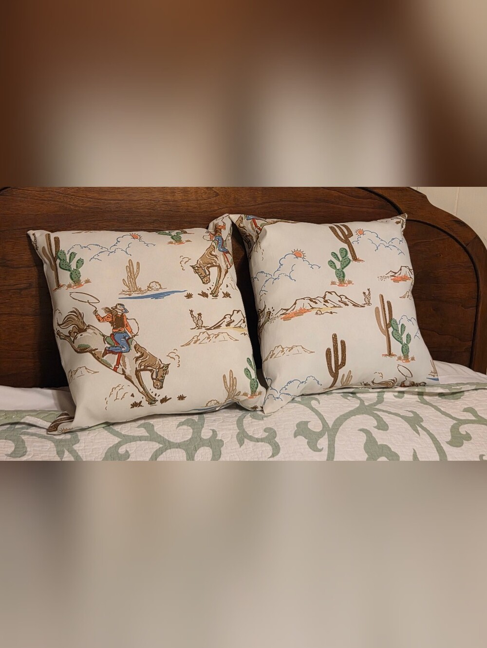 2 Western Rodeo Print Decorative Pillows - Picture 1 of 7